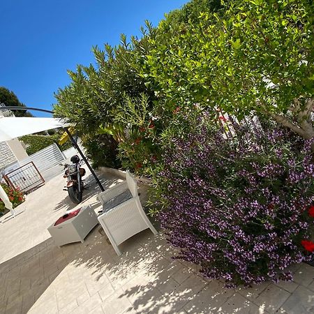 Lagarolina Del Conero B&B Сироло Экстерьер фото